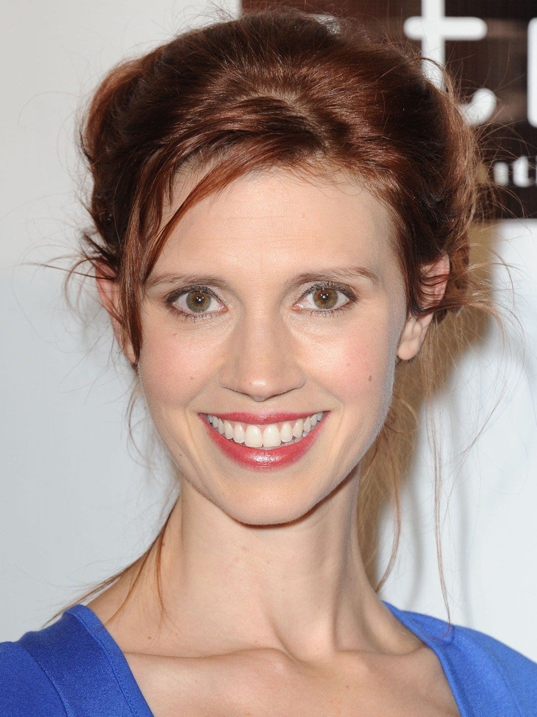 Julie Mcniven Bio Age Husband Net Worth Movies Tv Shows And Ncis 19328 Hot Sex Picture 