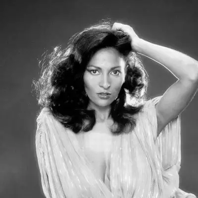 Pam Grier Bio, Wiki, Age, Height, Husband, Children, Young, Afro, Movies, TV Shows and Net Worth