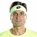 David Ferrer Image