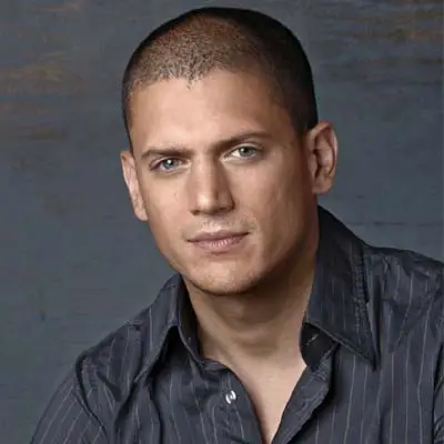 Privat wentworth miller Who is