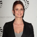 Sarah Wayne Callies Image