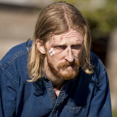 Austin Amelio Image