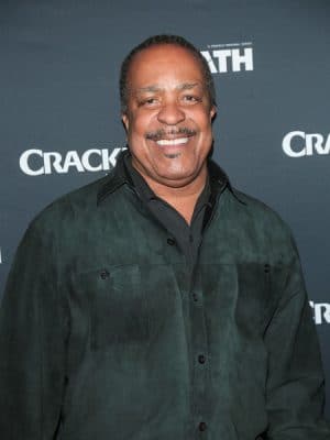 Robert Gossett Actor Wiki Bio Age Networth Major Crimes The Closer