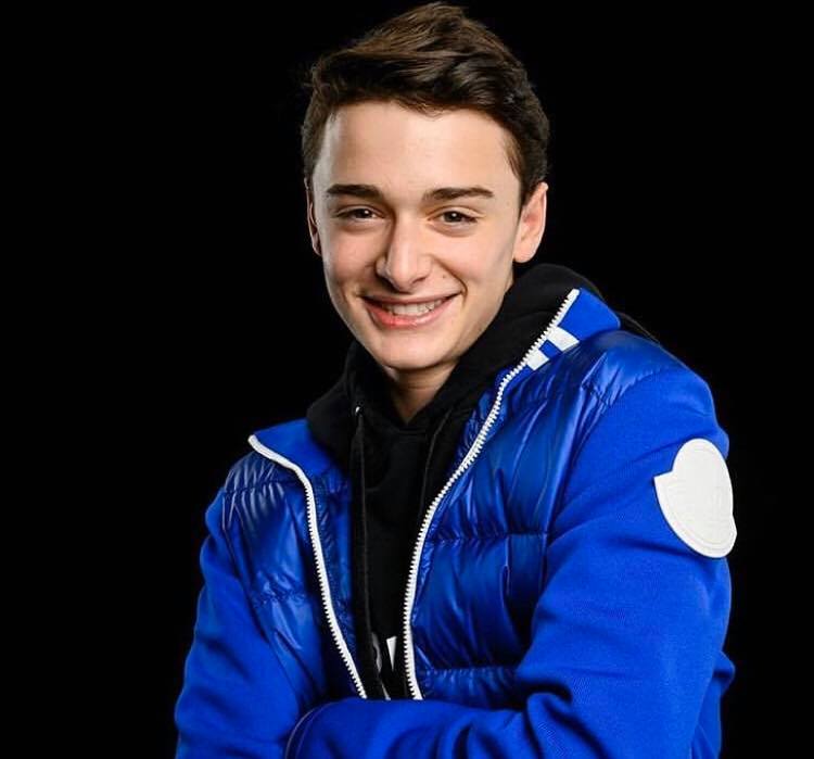 Noah Schnapp, Wiki