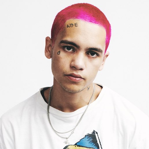 Dominic Fike Bio, Wiki, Age, Height, Wife, 3 nights, Songs, Net Worth