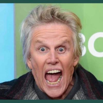 Gary Busey Photo