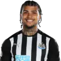 DeAndre Yedlin Image/Jersey