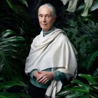 Jane Goodall Photo
