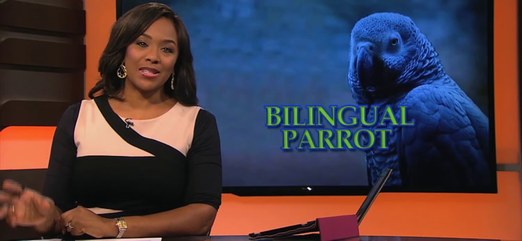 Photo of Debbye Turner