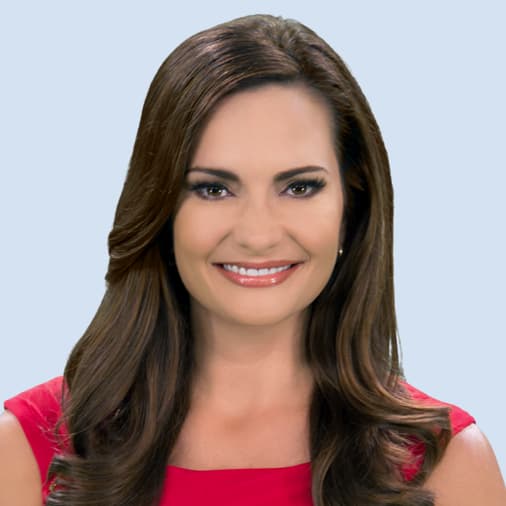 WSVN Reporter Jessica Holly