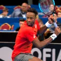 Gaël Monfils Image