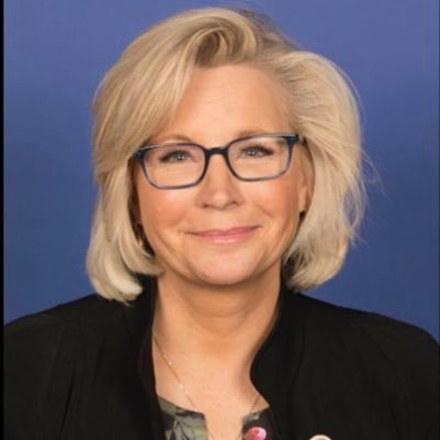 Liz Cheney Senate: Net Worth, Age, Bio, Wiki, Children, Husband