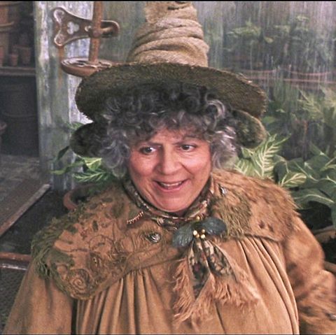 Miriam Margolyes Image