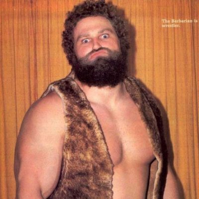 Image result for nord the barbarian