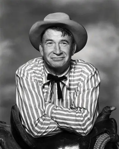 Image result for chill wills