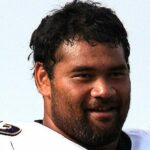 Haloti Ngata Image