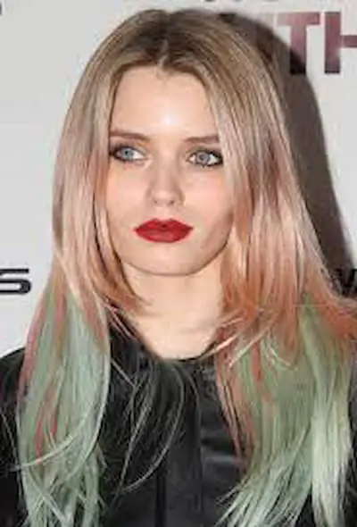 abbey lee Bio, Wiki, Age, Dating, Parents, Salary and Net worth