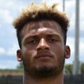 Gabe Davis Photo