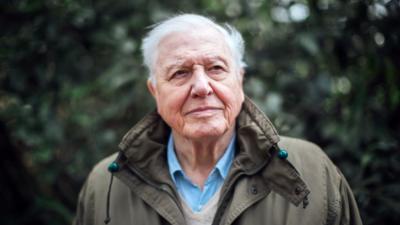 Robert Attenborough Photo