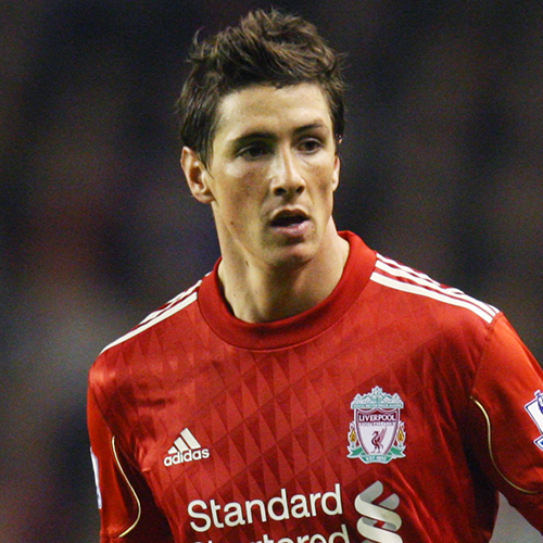 Fernando Torres Photo