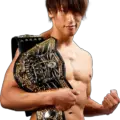 Kota Ibushi Image