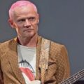 Flea Photo