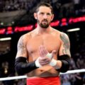 Wade Barrett Image
